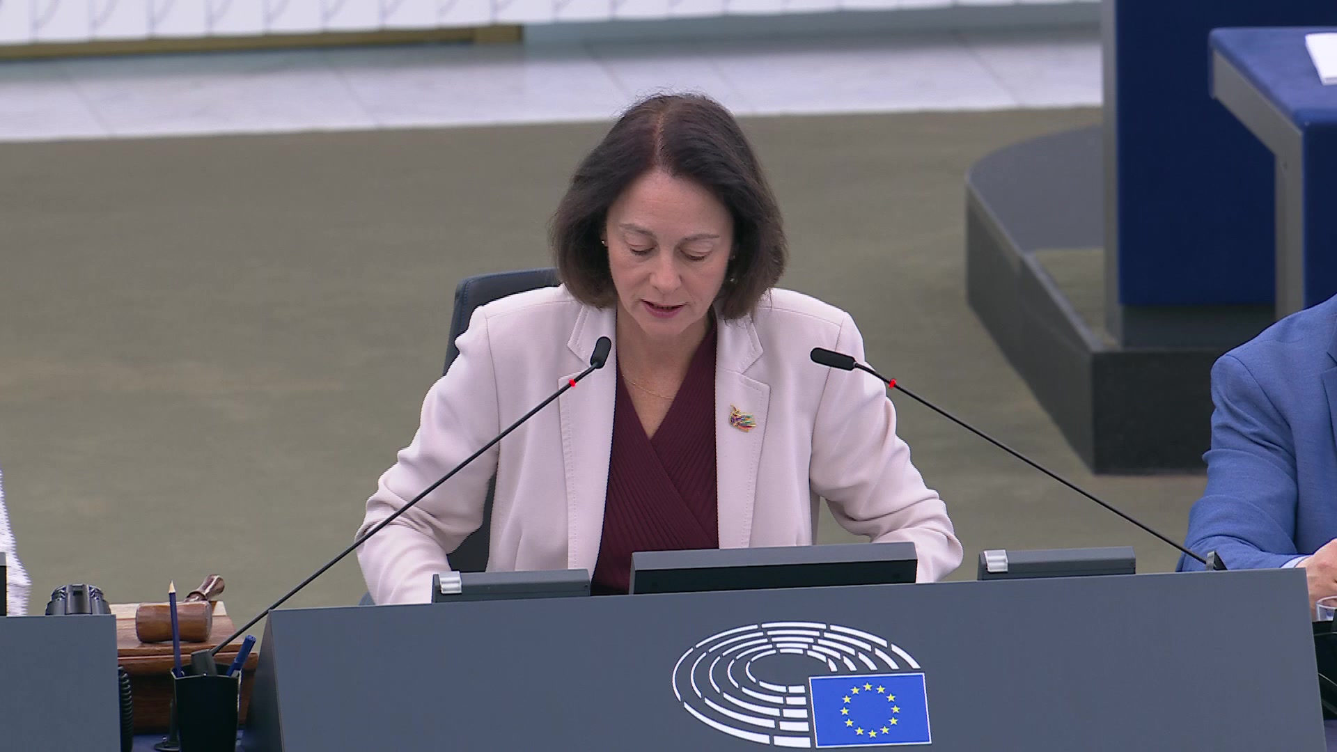 The Union’s preparedness and response for health emergencies: the case of the MV Hondius and the hantavirus warning: MEPs debate